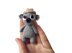 Larry the tiny Koala