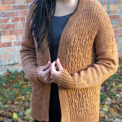 Cinnamon Twists Cardigan