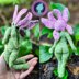 Garden Fae Amigurumi Doll