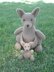 Kangaroo with a Joey & Kangaroo Blanket