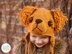 Leo The Labrador and Golden Retriever Hat