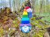 Gnome rainbow