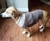 Earhart Dog Sweater UK TERMS 1214