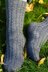 Cotswold Socks