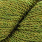 Lichen (320)