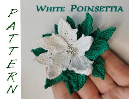 Christmas Poinsettia white flower pattern