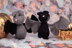 Deramores Bats and Pumpkins PDF