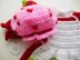 Strawberry Shortcake Baby Outfit