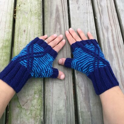 Argiope Mitts