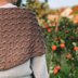 Hazelnut Shawl
