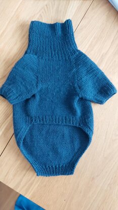 Dog Sweater Charlie No.1