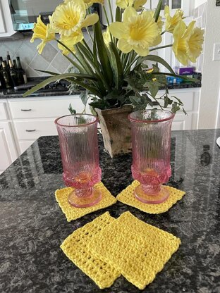 Dishcloth and Coaster Set