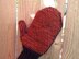 Winter Poppy Mittens