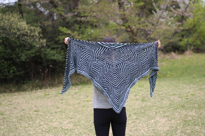 Crossroad shawl