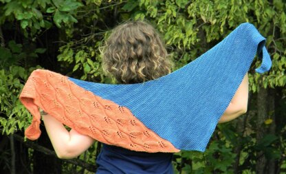 Autumn Pond Shawl