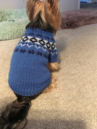 Yoke Dog Sweater