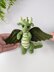 Basil the Dragon crochet pattern, amigurumi dragon pattern