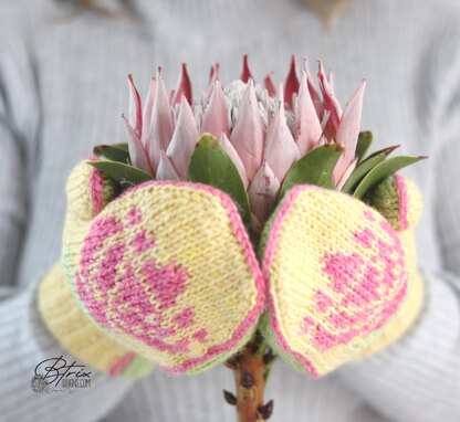 Tunisian Protea Mitts