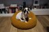 Ivar Pouf Pet Bed