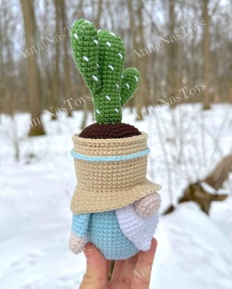 Gnome-cactus in a pot 2