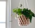 Bloom Hanging Basket