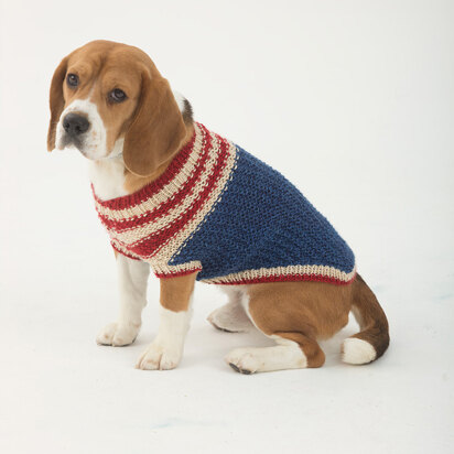 The Patriot Dog Sweater in Lion Brand Heartland - L32376