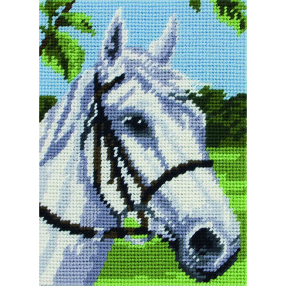 Anchor White Horse Needlepoint Starters Kit