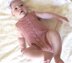 Babykleid in A-Silhouette mit Body und Bolero