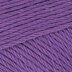 Crocus Purple (10)