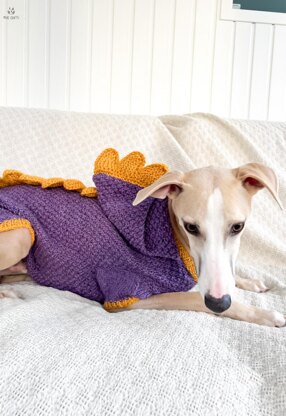 Doggo 16 dragon sweater