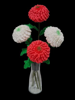 Ping Pong Chrysanthemum flowers