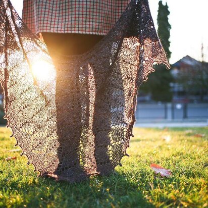 The Elder Tree Shawl