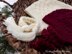 Winter Splendor: Treasures from the East