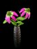 Crochet Echinacea/Cone flowers