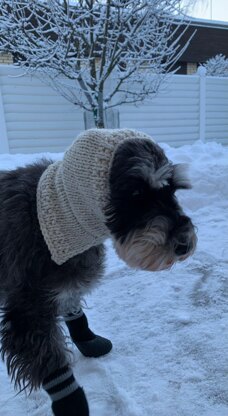 Tilda dog hat