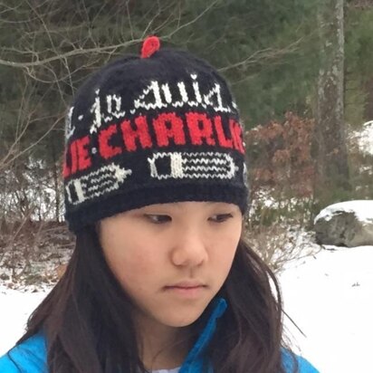 Je Suis Charlie Cap - knitting pattern