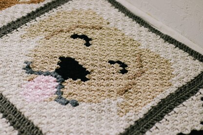 C2C Golden / Labrador Retriever Dog Blanket Square