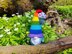 Gnome rainbow