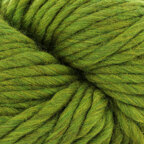 Fern (15)