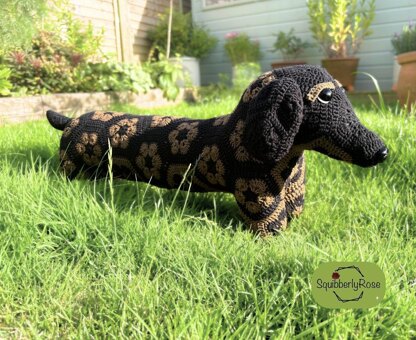 Desmond the African Flower Dachshund Dog