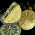 Citrus Fruit Slices Coaster