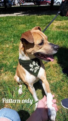 Dog paw bandana