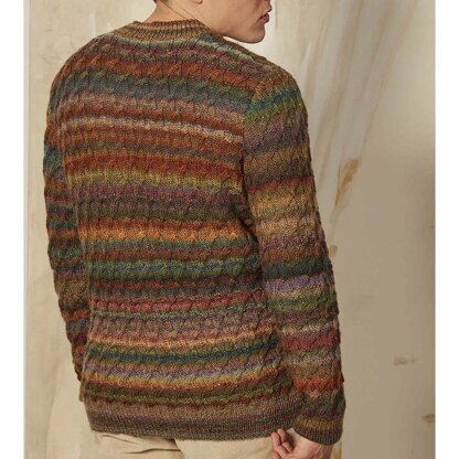 Lang PTO44-03 Men's Sweater PDF