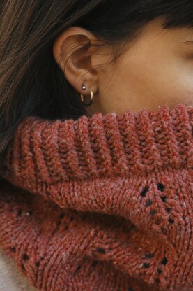 The Auk Cowl