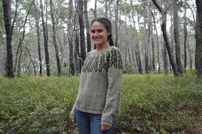 Alocasia Pullover