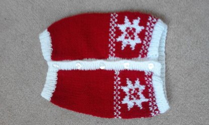 Knitted Christmas jumpers and hat for pussy cats!