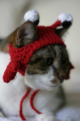 The Crabby Cat hat