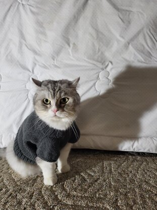 Basic pet sweater shirt