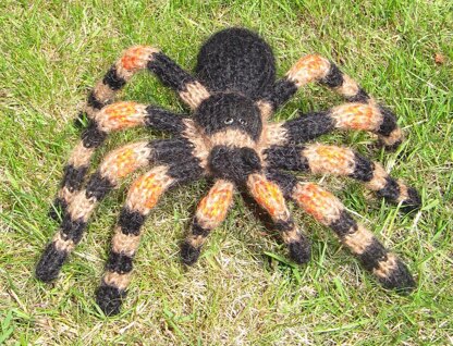 My Pet Tarantula