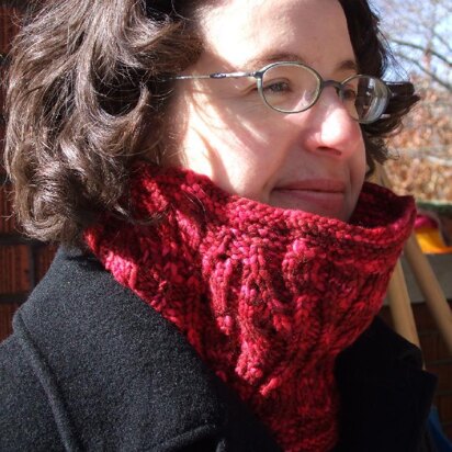 Medallions Cowl